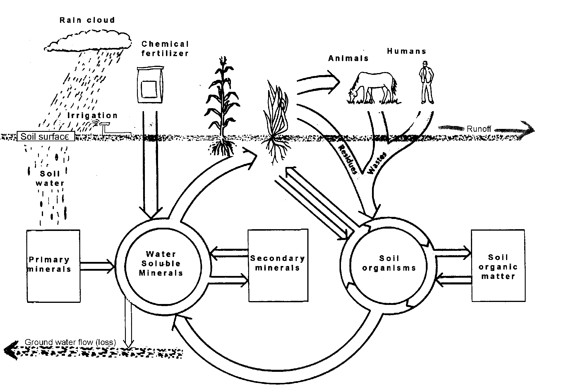 figure 1: nutrient cycling in the soil-plant-animal system