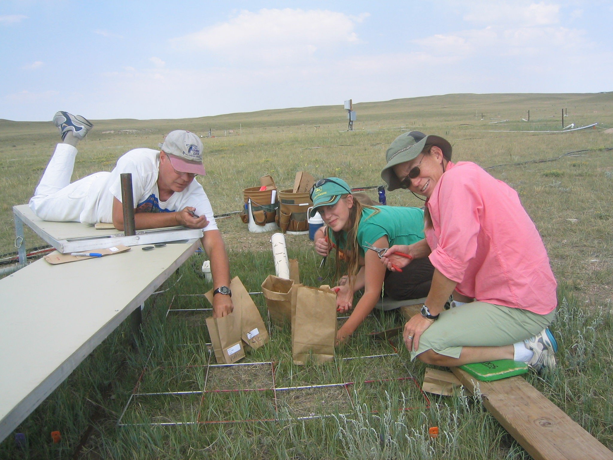 clipping crew