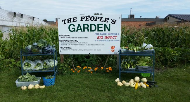 Donations from the garden and non-perishable items earned NCARL the 2017 Gold Award and the 2016 Silver Award from Feds Feed Families.  The 2018 People's Garden contains: sweet corn, summer and winter squash, beans, cucumbers, greens, broccoli, cauliflower, cabbage, beets, and carrots.