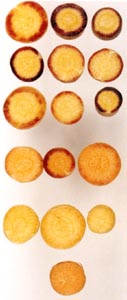 Figure 1, right