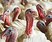 /ARSUserFiles/60401030/turkeys.jpg