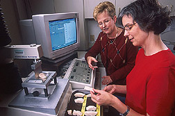 Photo: Food technologists Brenda Lyon, left, and Elizabeth Savage discuss fiber orientation of a chicken breast sample. Link to photo information