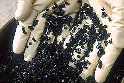 Photo: Nitrifying bacteria inside these polymer gel pellets remove ammonia from swine wastewater. Link to photo information