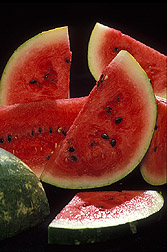 Watermelon slices: Link to photo information