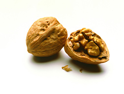 Walnuts in the shell