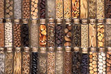 Seed collection