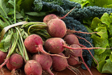 fresh produce