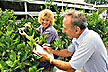 Citrus fruit research
